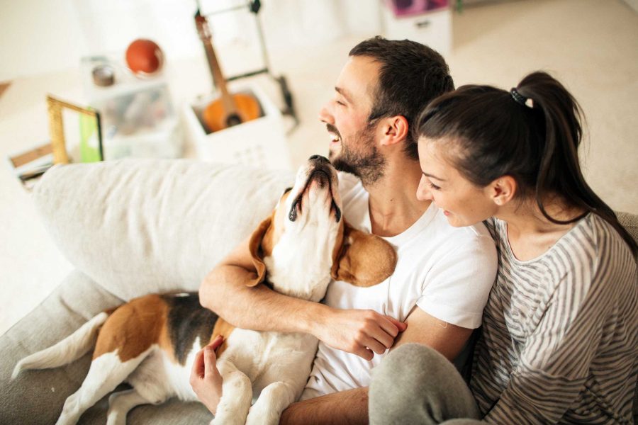 Man and women sitting on a couch together enjoying their dog.